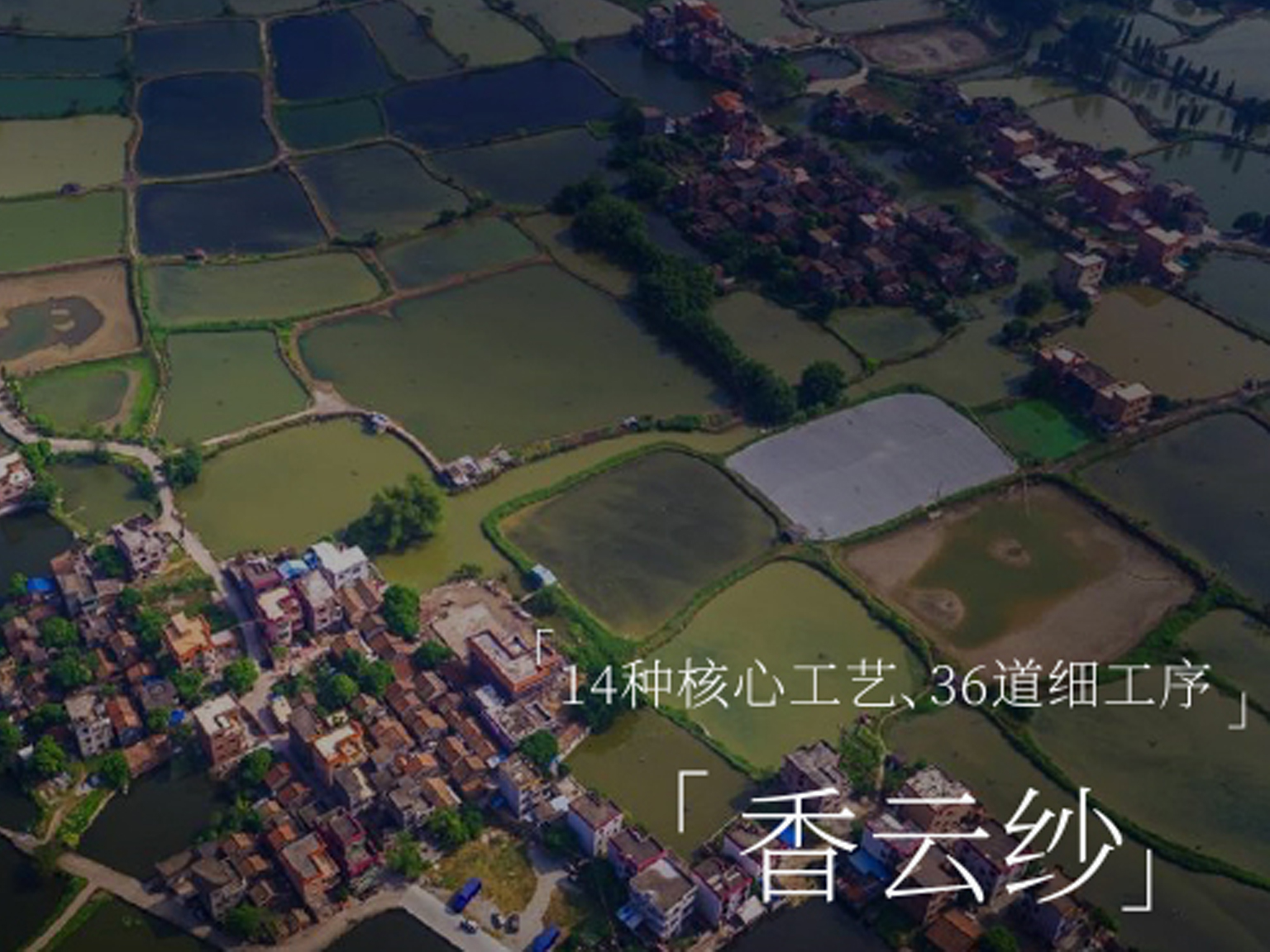 “一两黄金一两纱”的含金量谁懂？